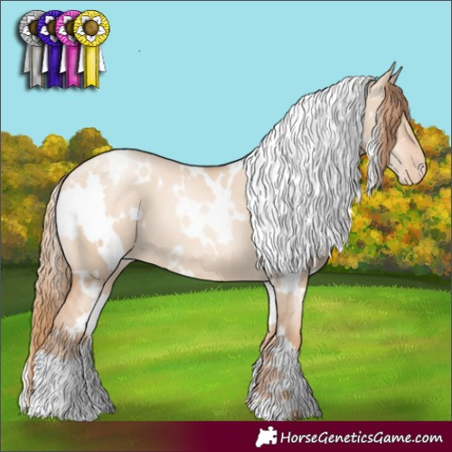 Horse Color:White Spotted Gold Champagne Pearl Dun Blanket