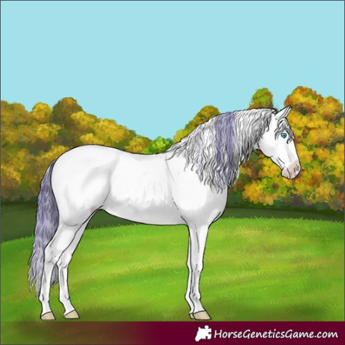 Horse Color:Watercolor Brown Ice Onyx Sabino Splash 