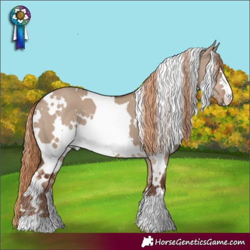 Horse Color:White Spotted Liver Red Dun