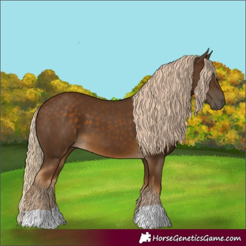 Horse Color:Chocolate Palomino 