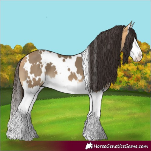 Horse Color:White Spotted Buckskin Dun Splash