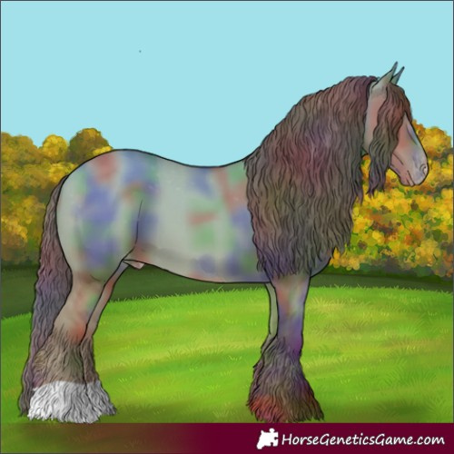 Horse Color:Nacre Classic Champagne Dun Appaloosa