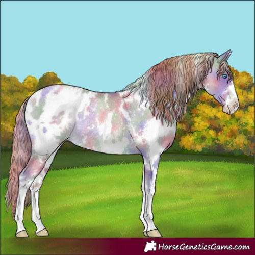 Horse Color:Nacre White Spotted Classic Cream Champagne Pearl Dun Appaloosa Rabicano