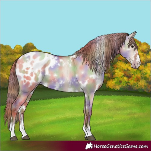 Horse Color:Nacre White Spotted Grullo Pearl Blanket 