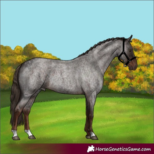 Horse Color:Liver Red Roan