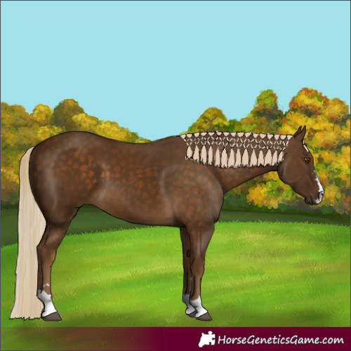 Horse Color:Chocolate Palomino