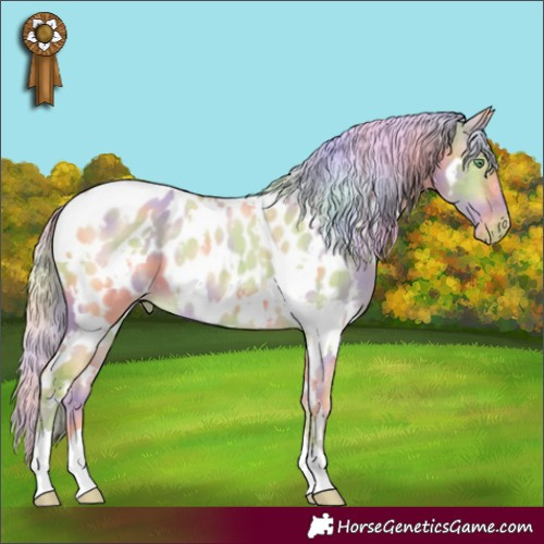 Horse Color:Nacre White Spotted Gold Cream Champagne Dun Appaloosa