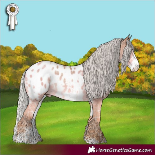 Horse Color:Silver Sable Champagne Ice Sabino Appaloosa