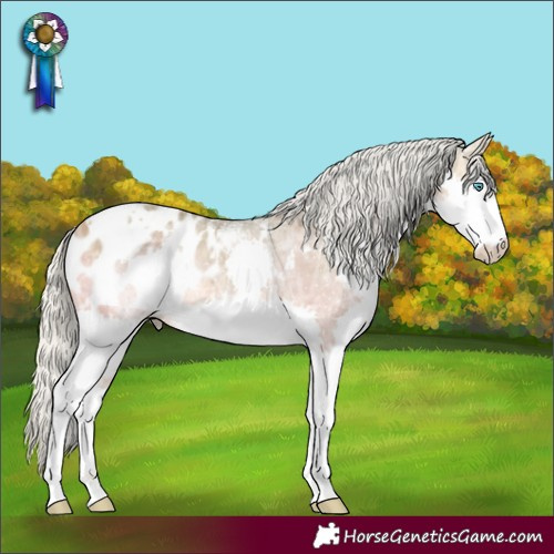 Horse Color:White Spotted Silver Sable Cream Champagne Ice Sabino Splash Appaloosa Rabicano