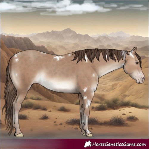 Horse Color:White Spotted Classic Champagne 