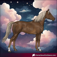 Horse Color:Chocolate Palomino