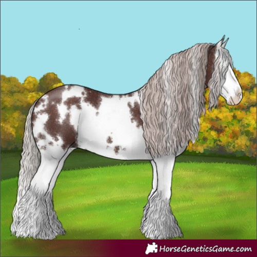 Horse Color:White Spotted Chocolate Silver Brown Splash 