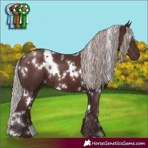 Horse Color:White Spotted Chocolate Silver Brown