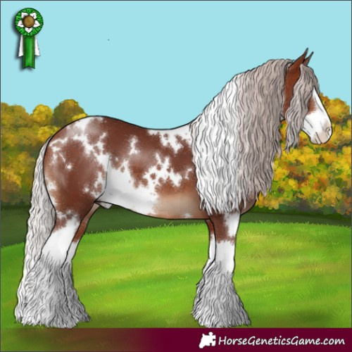 Horse Color:White Spotted Chocolate Silver Brown Splash 