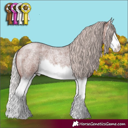 Horse Color:Chocolate Silver Bay Roan Splash