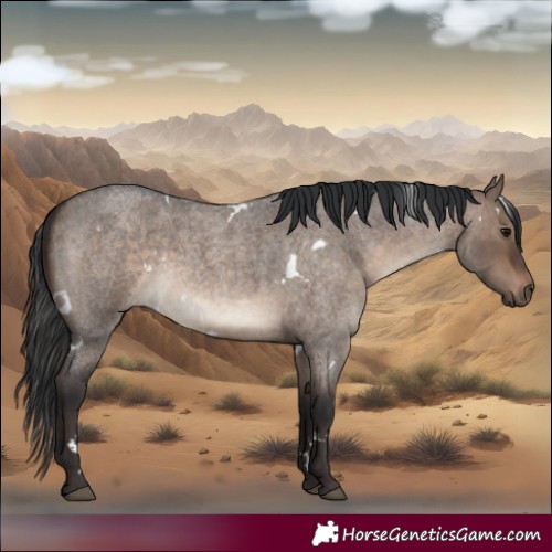 Horse Color:White Spotted Brown Roan Dun