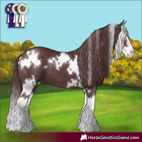Horse Color:White Spotted Chocolate Black Splash