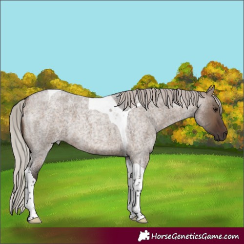 Horse Color:Silver Brown Roan Dun Tobiano 