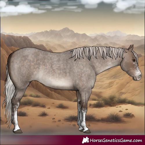 Horse Color:White Spotted Silver Brown Roan Dun