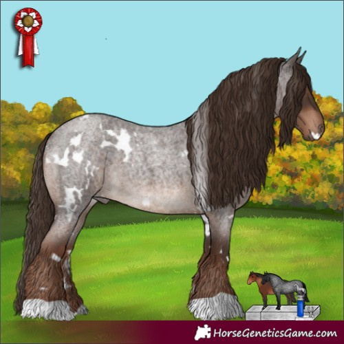 Horse Color:White Spotted Liver Red Roan 
