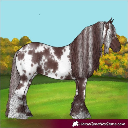 Horse Color:White Spotted Chocolate Brown 