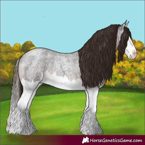Horse Color:Liver Red Roan Splash 