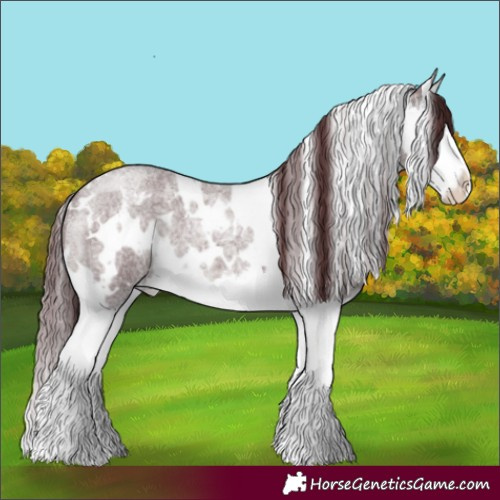 Horse Color:White Spotted Chocolate Blue Roan Splash 