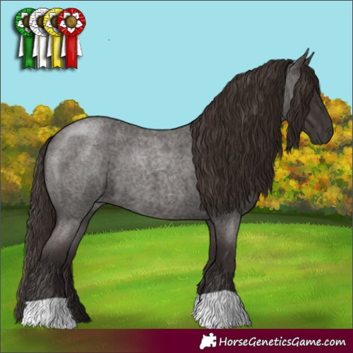 Horse Color:Liver Red Roan 