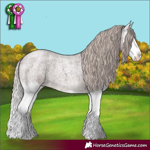 Horse Color:Chocolate Silver Blue Roan Splash