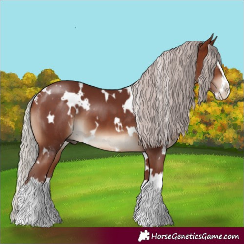 Horse Color:White Spotted Chocolate Silver Brown Splash 