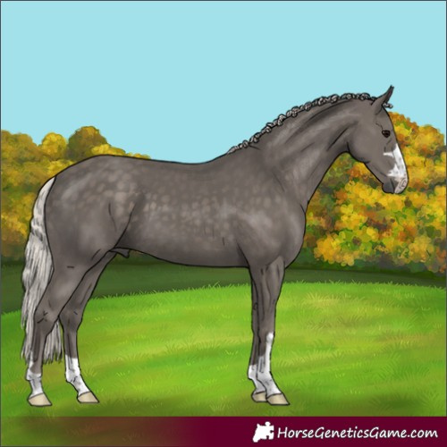 Horse Color:Silver Black 