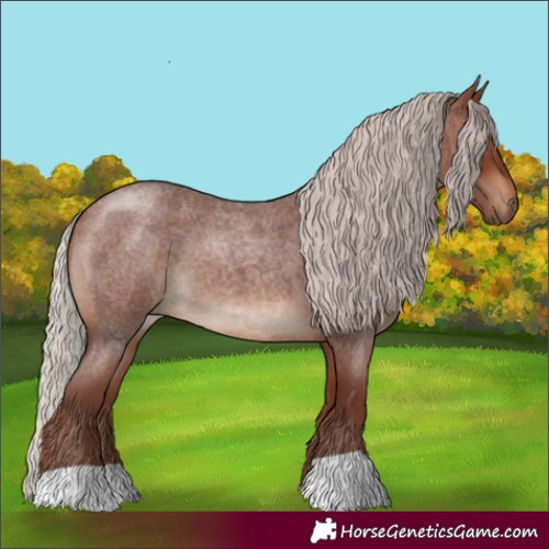 Horse Color:Chocolate Silver Bay Roan 