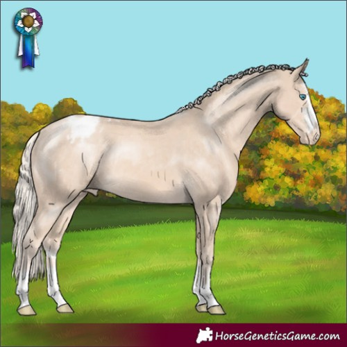 Horse Color:Cremello Varnish Rabicano