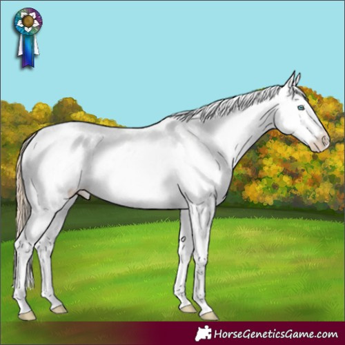 Horse Color:Perlino Sabino Near Leopard