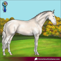 Horse Color:Cremello Sabino 