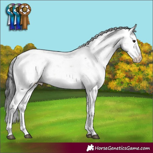 Horse Color:Buckskin Sabino Rabicano 