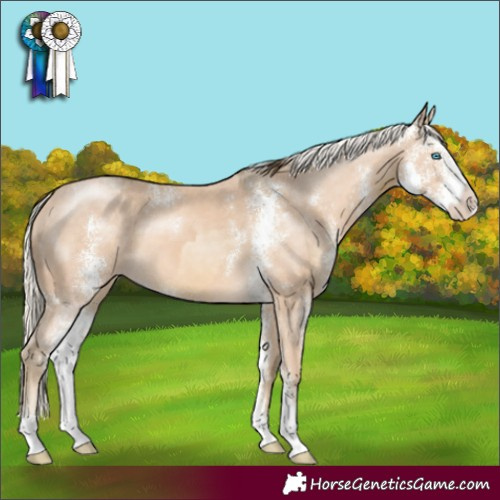 Horse Color:Buckskin Pearl Sabino  and Cremello Sabino 