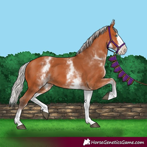 Horse Color:White Spotted Silver Bay Splash