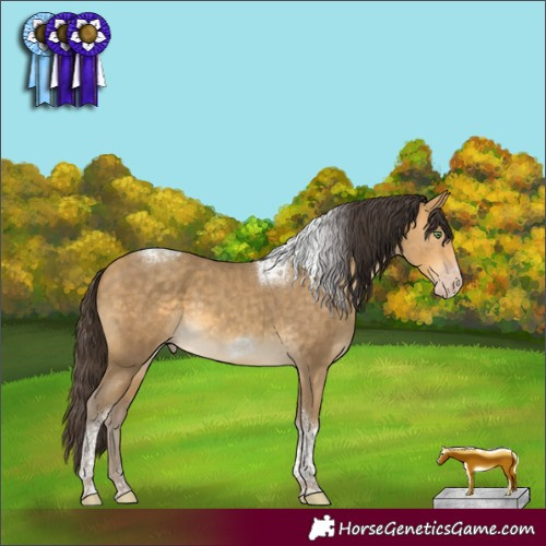 Horse Color:Sable Cream Champagne Tobiano Frame