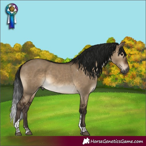 Horse Color:Gray Brown Dun Tobiano Rabicano