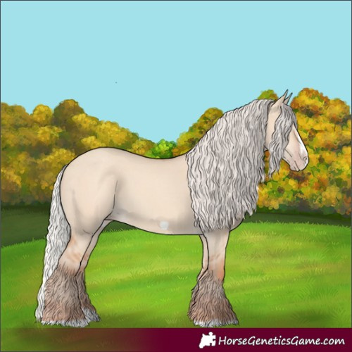 Horse Color:Silver Classic Champagne Dun Splash Frame
