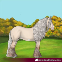 Horse Color:Silver Classic Champagne Dun Splash Frame 