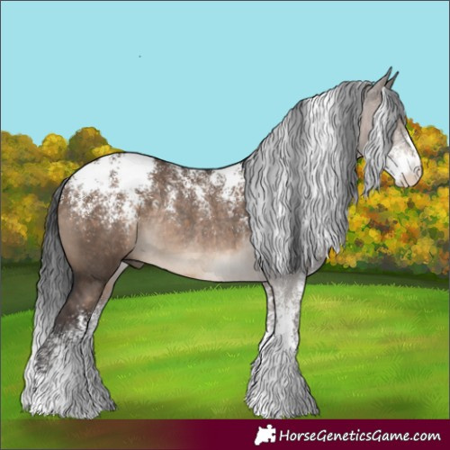 Horse Color:Powder White Brown Dun Rabicano 
