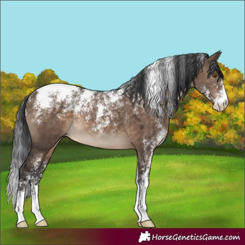 Horse Color:Powder White Brown Dun 