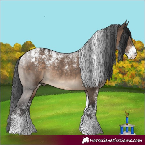 Horse Color:Powder White Brown Dun Rabicano