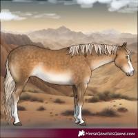 Horse Color:Pseudo Chocolate Palomino