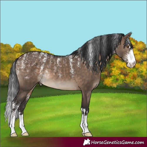 Horse Color:Powder White Brown Dun