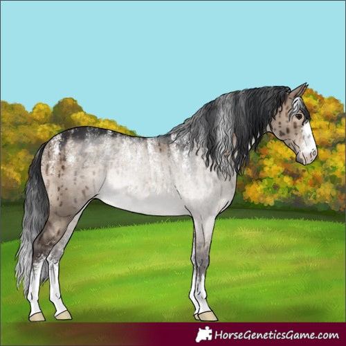 Horse Color:Powder White Brown Dun Brindle 