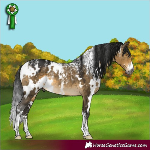 Horse Color:Powder White Gray White Spotted Buckskin Dun Rabicano