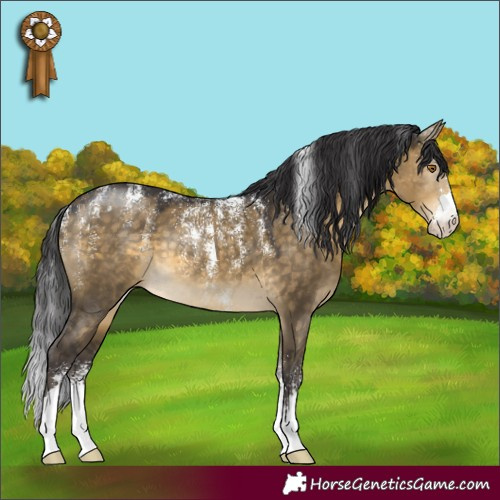 Horse Color:Powder White Buckskin Dun